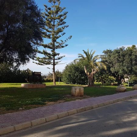 Homely Apartments Vinalaguna La Mata  Exterior photo