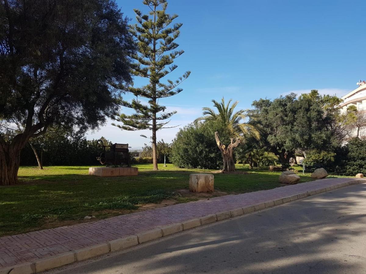 Homely Apartments Vinalaguna La Mata  Exterior photo